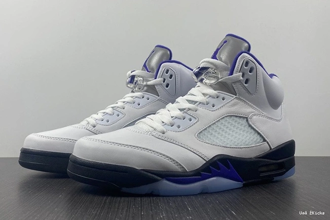DD0587-141 CONCORD Air 587 Fashionable Jordan5 0905